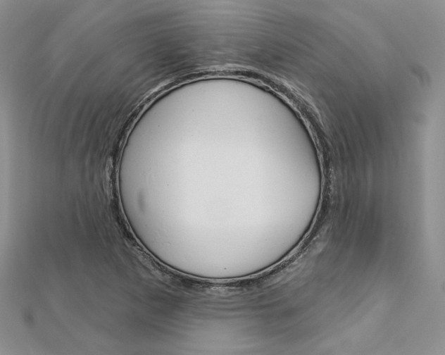 X0000113061265200908280939
