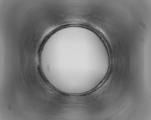 X0000113061267200908280939