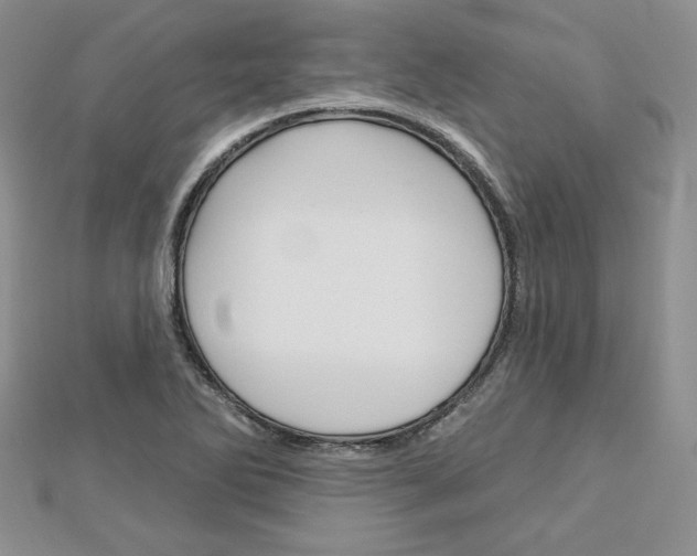 X0000113061270200908280939