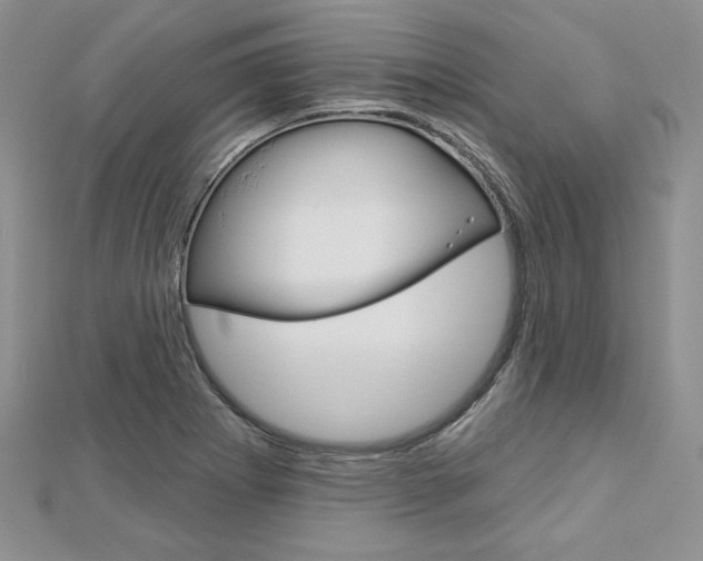 X0000113061273200908280939