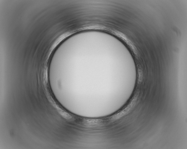 X0000113061274200908280939