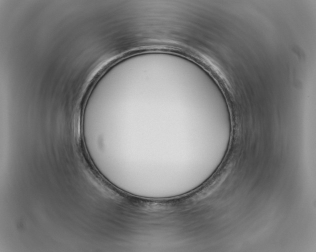 X0000113061275200908280939