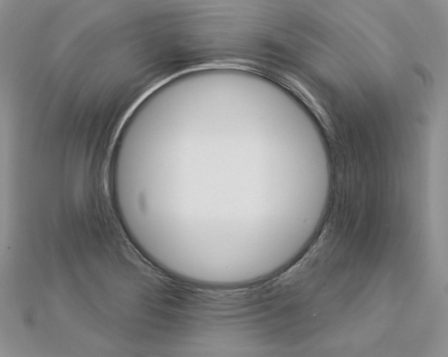 X0000113061276200908280939