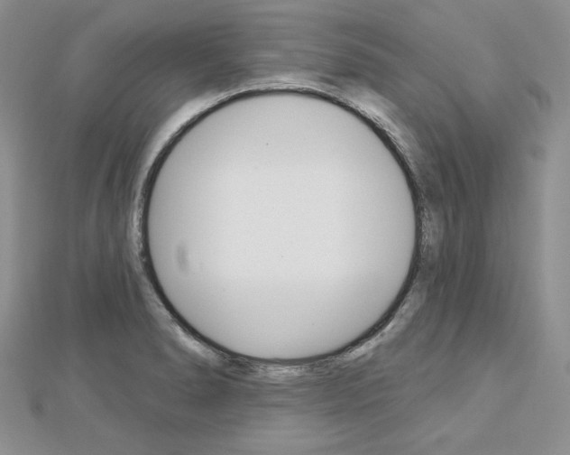 X0000113061278200908280939