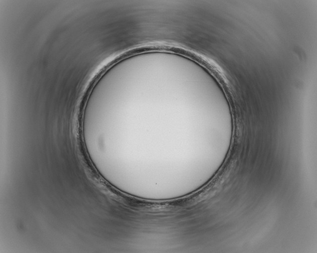 X0000113061279200908280939