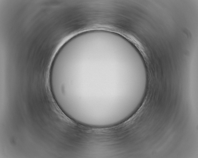 X0000113061280200908280939