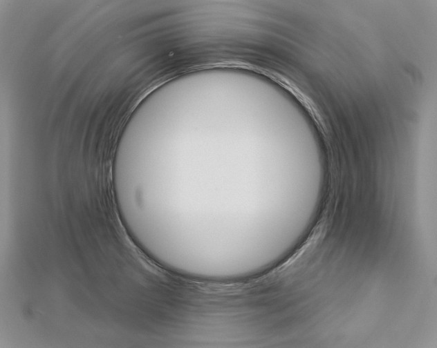 X0000113061281200908280939