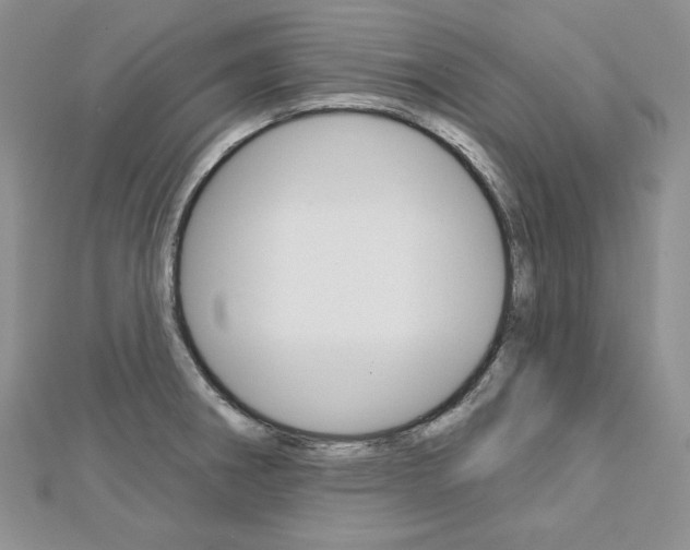 X0000113061282200908280939