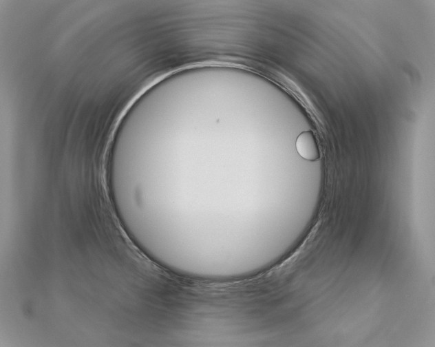X0000113061284200908280939