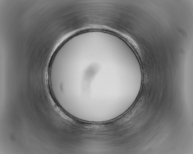 X0000113061287200908280939