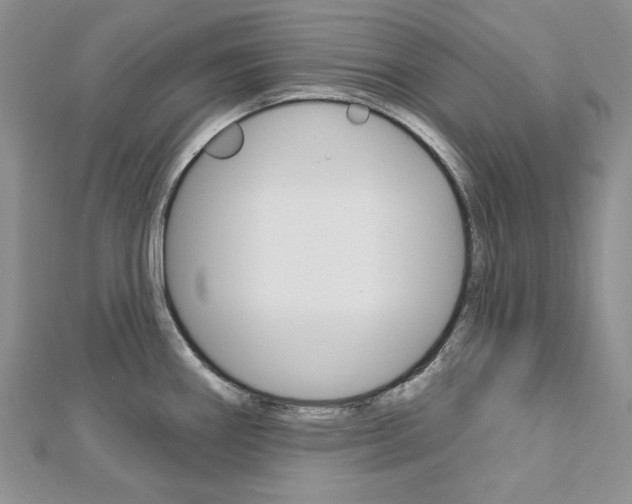 X0000113061290200908280939