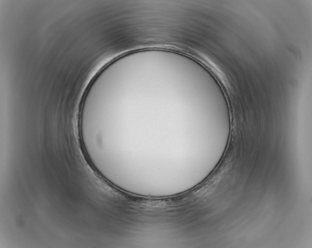 X0000113061291200908280939