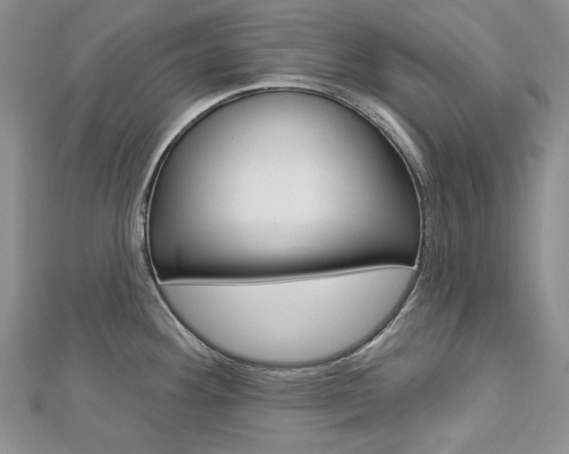 X0000113061292200908280939