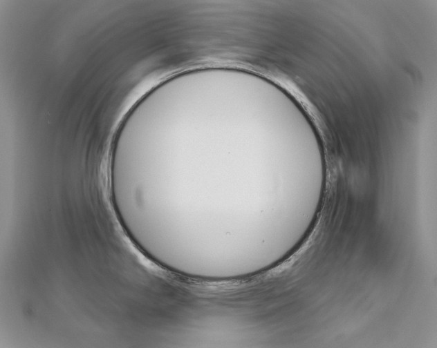 X0000113061294200908280939