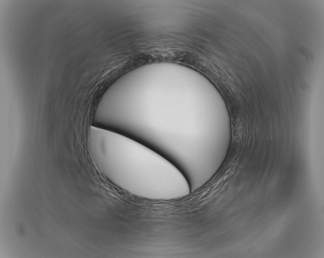 X0000113061297200908280938