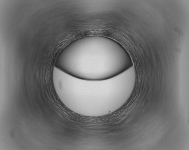 X0000113061298200908280938