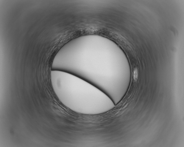 X0000113061299200908280938
