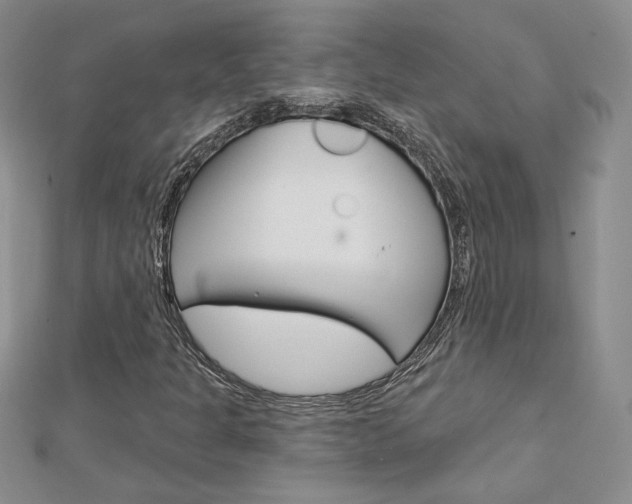 X0000113061301200908280938