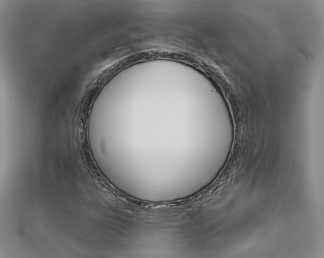 X0000113061303200908280938
