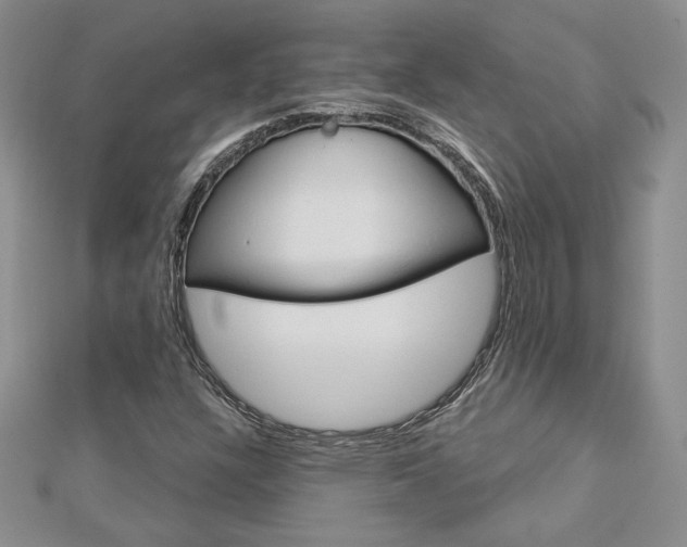 X0000113061304200908280938