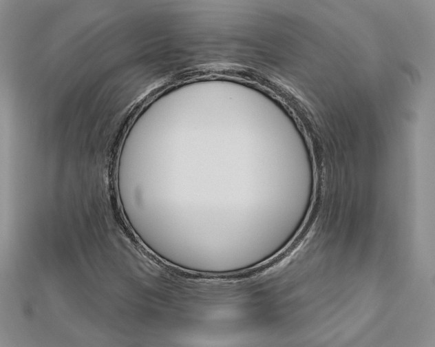 X0000113061305200908280938