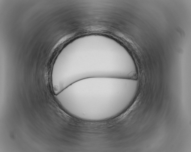 X0000113061306200908280938