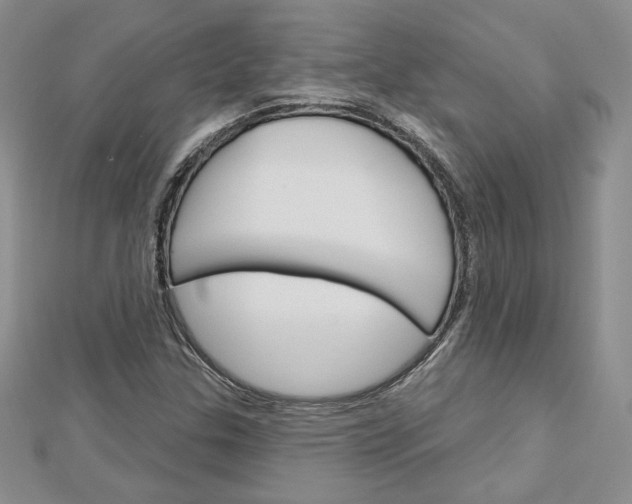 X0000113061307200908280938