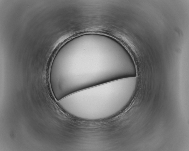 X0000113061308200908280938