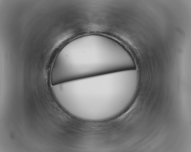 X0000113061309200908280938