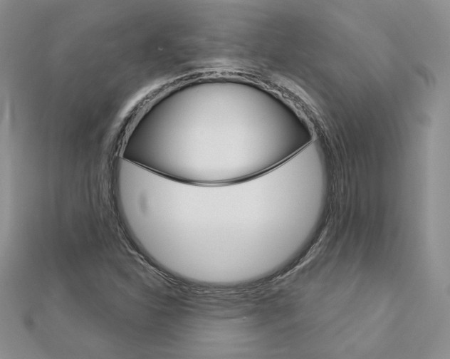 X0000113061310200908280938