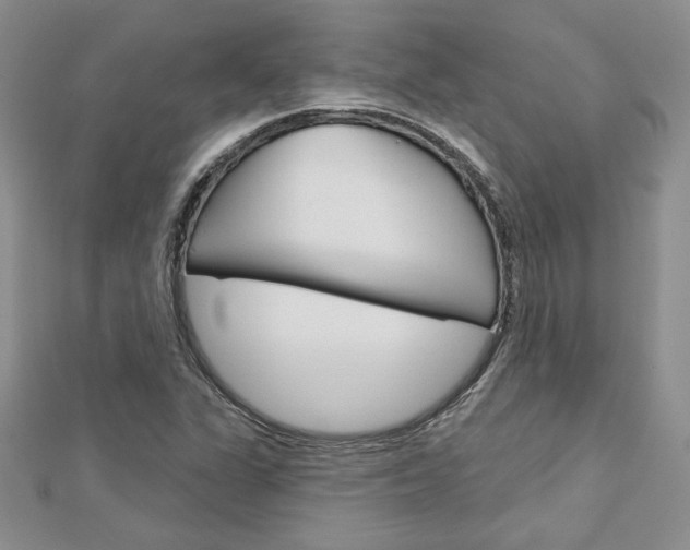 X0000113061311200908280938