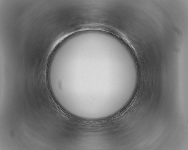 X0000113061312200908280938