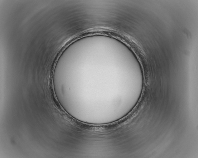 X0000113061313200908280938