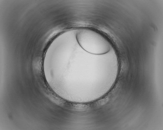 X0000113061314200908280938