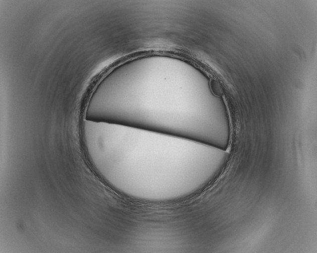 X0000113061315200908280938