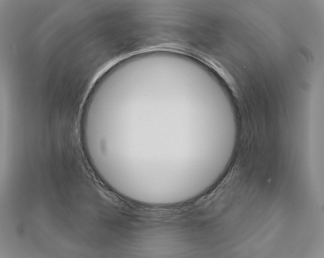 X0000113061316200908280938