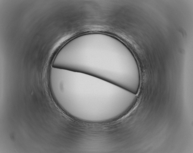 X0000113061317200908280938