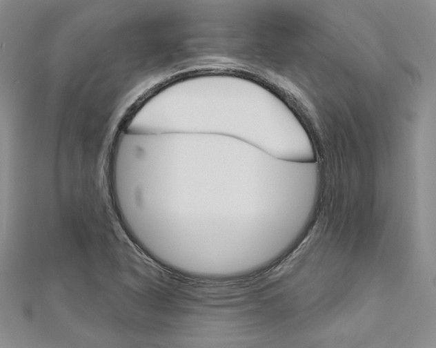 X0000113061318200908280938