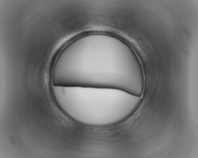 X0000113061319200908280938