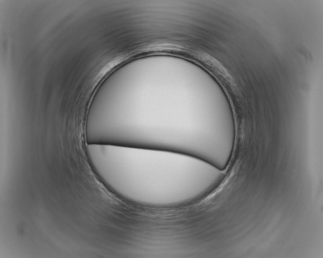 X0000113061321200908280938