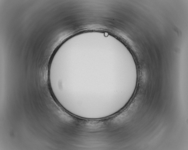 X0000113061322200908280938