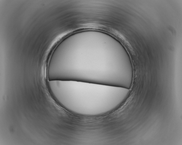 X0000113061323200908280938