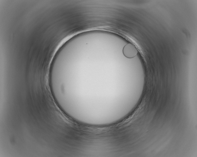 X0000113061324200908280938