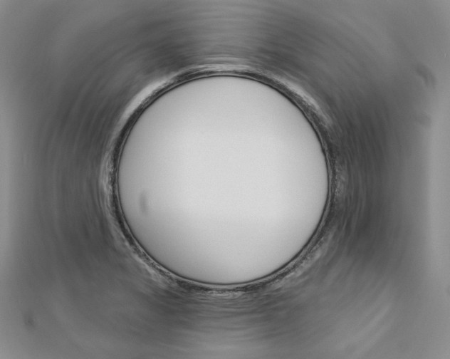 X0000113061325200908280938