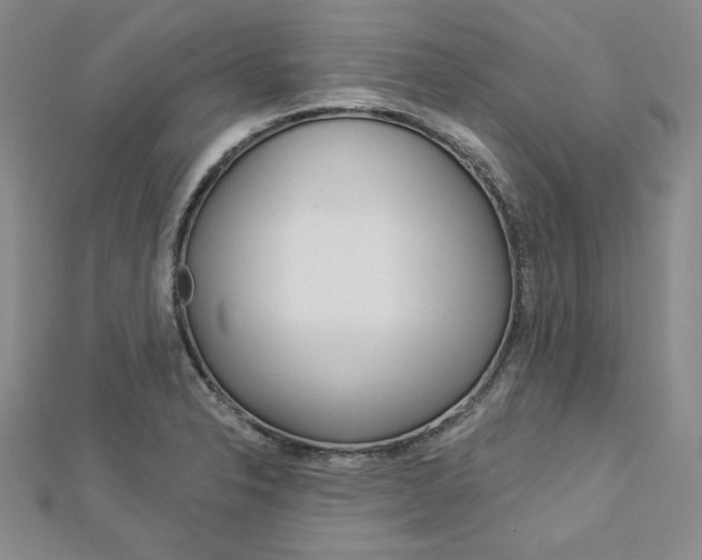 X0000113061326200908280938