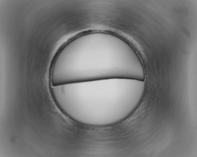X0000113061327200908280938