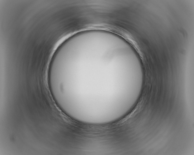 X0000113061328200908280938