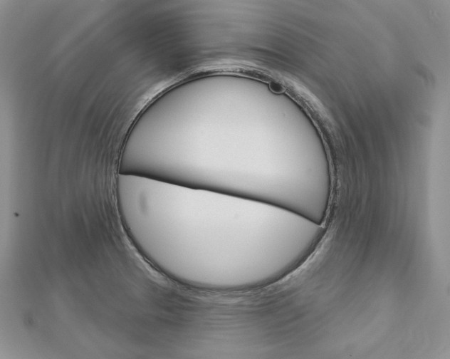 X0000113061329200908280938