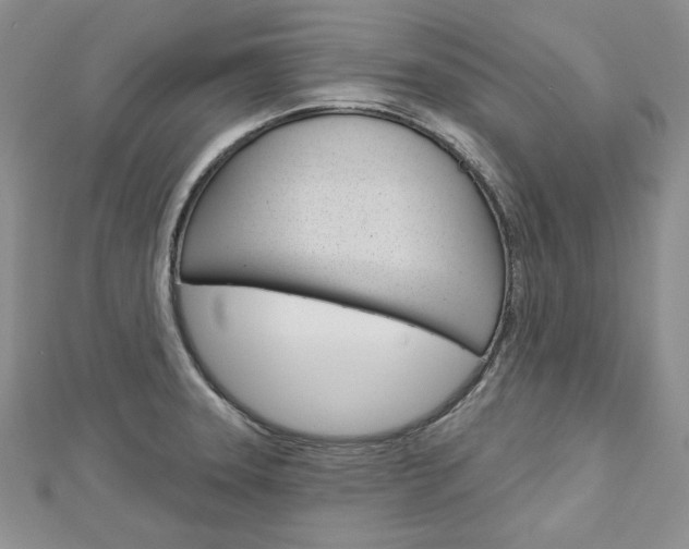 X0000113061331200908280939