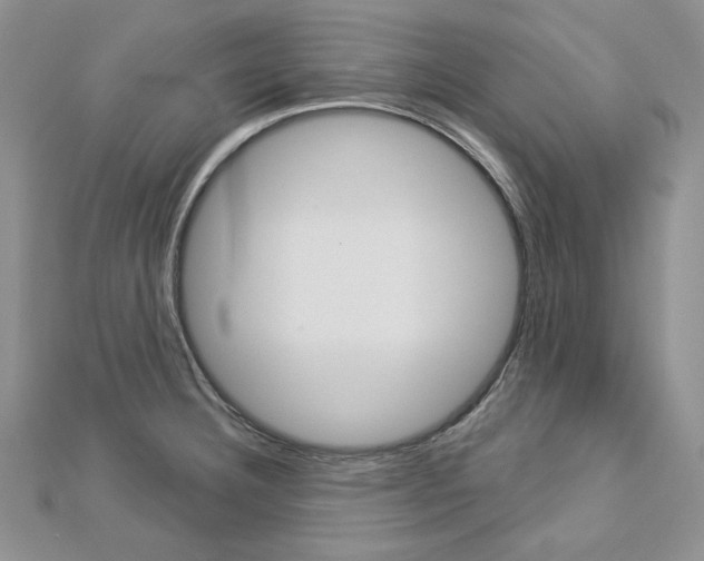 X0000113061332200908280939